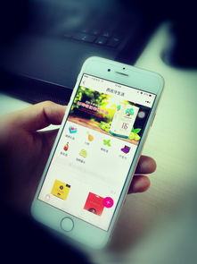 華軟小程序商學(xué)院 探索微信小程序——互聯(lián)網(wǎng)時代電商與社交的完美融合