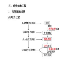 2017版高考生物一輪復習課件 通用版第12單元第2講——細胞工程精講