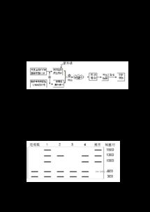 細胞工程高考真題強化訓練與解析