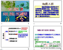 細胞工程 原理、技術及應用
