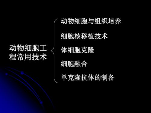細(xì)胞工程的微觀奇跡 從動(dòng)物細(xì)胞到生命重塑