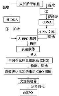 細胞工程